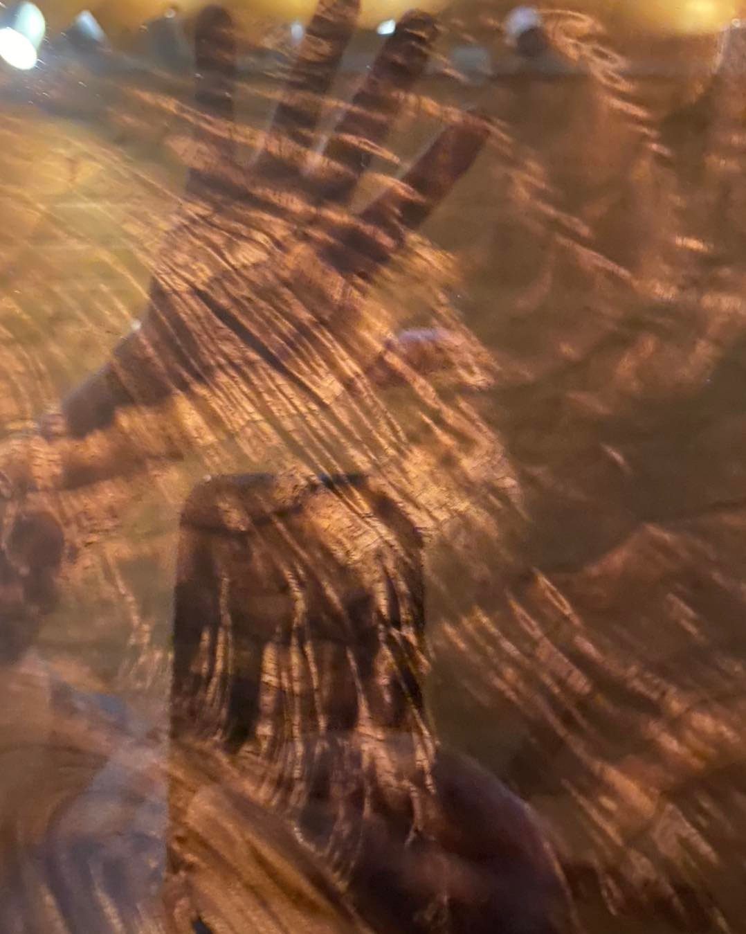 OMG! What is this going to be???