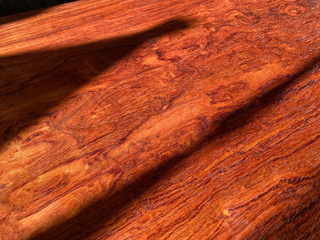 African Bubinga Coffee Table